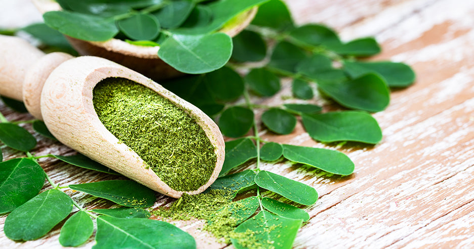 Where to Find the Best Moringa Supplement in Pakistan?