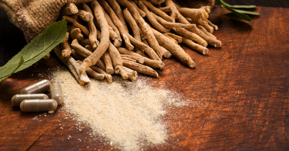 Health Benefits of Ashwagandha: All You Need to Know